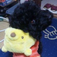 うたお@ (@utao0510) 's Twitter Profile