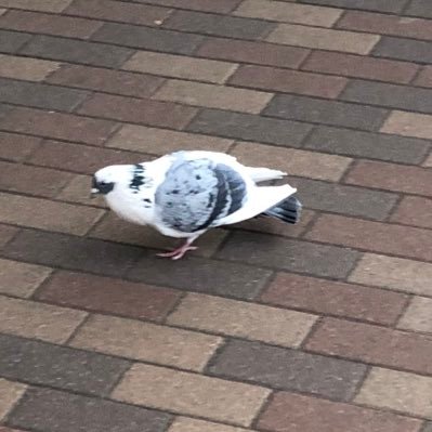 4lKUQB8EhG0DYMX's profile picture. 