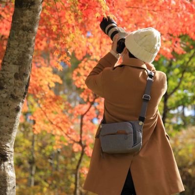 ■しゃしんが好き📷 ■Photograph in Japan ■Canon EOS R & Kiss X7 / Fuji X-T30