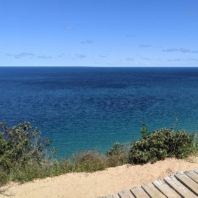 arlake228's profile picture. 