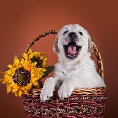 tzw2012's profile picture. 