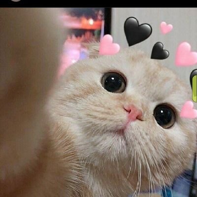 EA💗