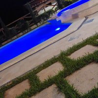 sofa (@osminfl93487245) 's Twitter Profile