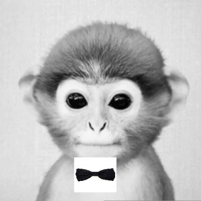 _Giannis_S's profile picture. Euw GM ad peak / Ex sci / Bball , Tennis