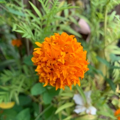 sunshine___321's profile picture. Para sa Bayan🇵🇭