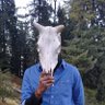 adit_neel's profile picture. NLP Engineer and a part-time traveller