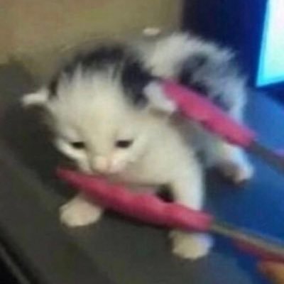 Capさんのプロフィール画像