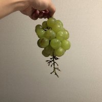 kokokko (@_kokokko) 's Twitter Profile