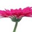 b161's profile image