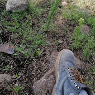 f4st3rl1n3's profile picture. 