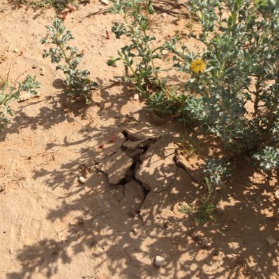 rn1552's profile picture. : الزمان يـدور .. والدنيا تـدور وان عطاك الله عمر تمشي بعصاه اغتنمها بصالح أعمال وشعور والحضور بـ أول صفوف الصلاه