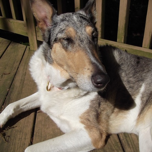 BillvilleUSA's profile picture. I love food, travel, vintage automobiles, Cork, DC, computers, cooking, and reading.