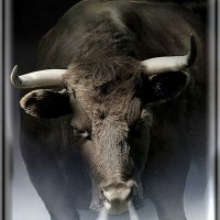 🇹🇷Black Bull🇹🇷(@EEMhendis1) 's Twitter Profile Photo