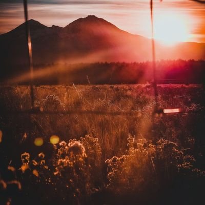 Chhasatiya9's profile picture. 