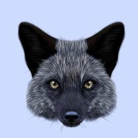 ้ใใคใญ๐๐ (@silver_fox_2015) 's Twitter Profile