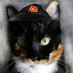 Torti-Awesome Giants (@TortiAwesome) Twitter profile photo