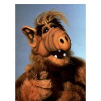 Adl (@alf73149025) 's Twitter Profile