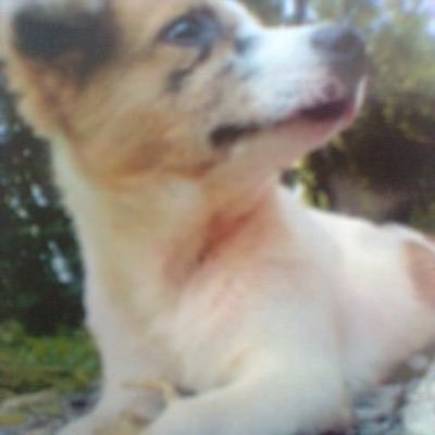 TN_nanny14's profile picture. 