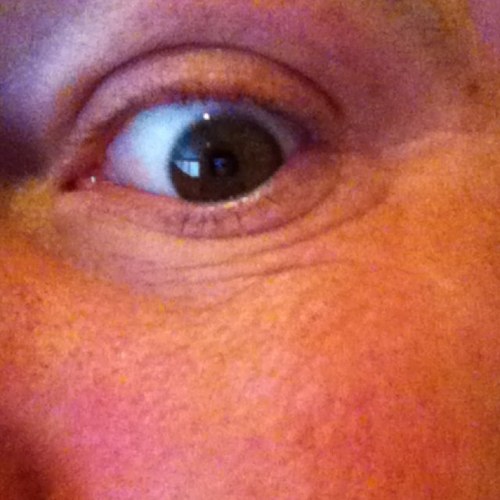 krispyfriesnchx's profile picture. 