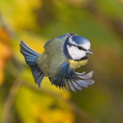 I love spending time in the countryside with my camera. You can generally find me at Bakewell Market on a Monday selling prints and my hand made clocks.