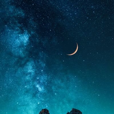 AnwarSaada's profile picture. 