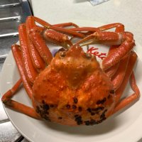 🦀(響) (@glenlivethibiki) 's Twitter Profile Photo 🦀(響) (@glenlivethibiki) 's Twitter Profile Photo