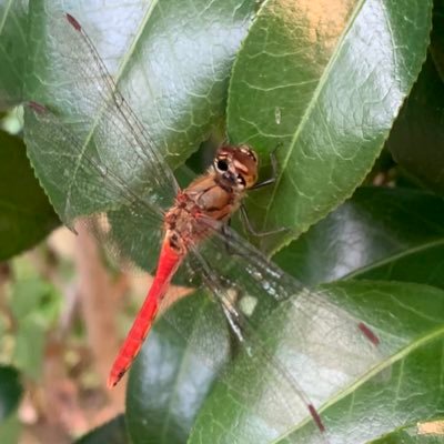 hamuichiphone's profile picture. 休みの日は美術を鑑賞する。