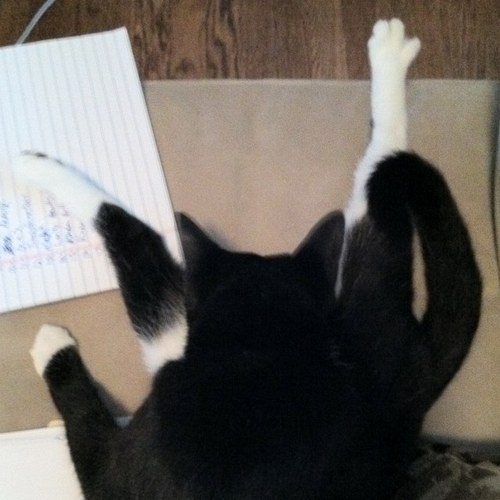 Jack_Dynamite's profile picture. 