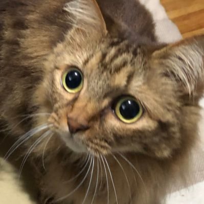 さーさんのプロフィール画像