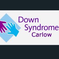 Down Syndrome Carlow (@carlow_dsi) 's Twitter Profile