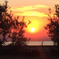 Tent of Nations (@tentofnations) 's Twitter Profile