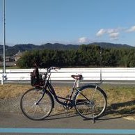 JQ3DWG/わかやまJQ305 (@jq3dwg) 's Twitter Profile