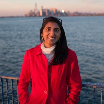 A Chicago heart beating at a New York pace | Cities • Climate • Capital | Founder 🚲 @streetlifevc • 🪂 @parachute_earth • 🗽 @nyclimatetech
