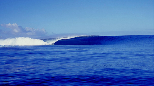 MEprojects's profile picture. Faith and Gratitude is all you need.
You may also need paper clips from time to time.
And ketchup.
But that's about it.