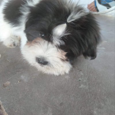 wCs0BwZVuSp2dqk's profile picture. 