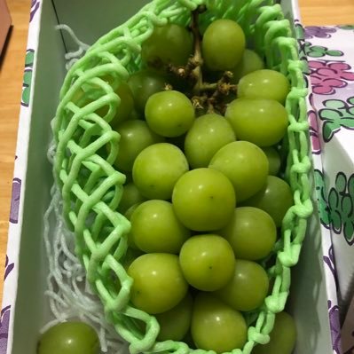 ⭐️セール中⭐️ Amazon | SHAD(シャッド) バイク リアボックス 【セット売り】SH40