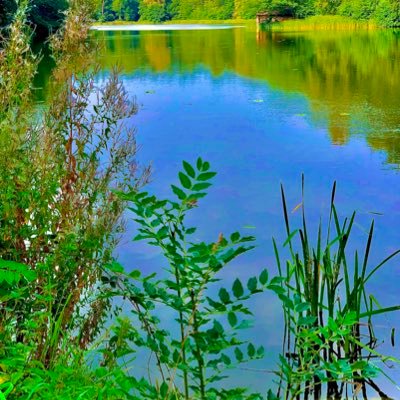 BrumAnand's profile picture. 