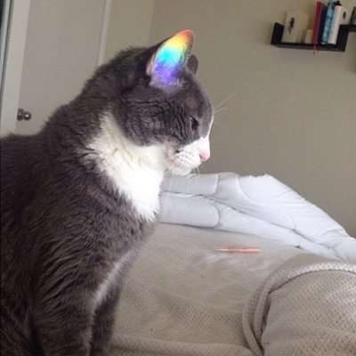 nhaticetatarer's profile picture. 