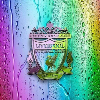 Huge fan of Liverpool FC, YNWA, JFT96, bitch, child, mother,