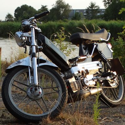 13th__Monkey's profile picture. 