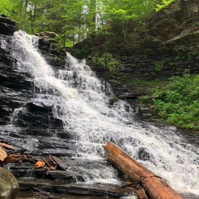 subarukar's profile picture. 