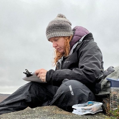 Paintings and drawings inspired by the windswept moorland landscapes of the Peak District.