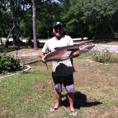 DrALman78's profile picture. 