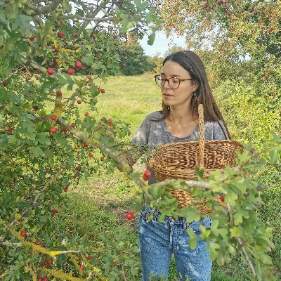 emilyfurze's profile picture. Medical Herbalist with wide range of interests in folklore, history, conservation and ethnobotany. Views are my own.