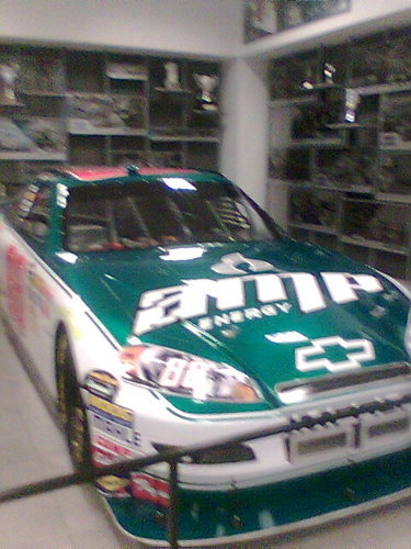 Love Nascar and Pets, have 3 dogs (one of which is a therapy Dog) a cat, a Parrot and 1 smaller birds.   #nascarfollowback