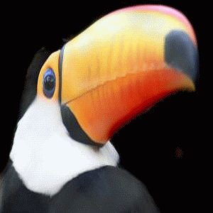 MajorHeadroom's profile picture. Affiliate Marketing, Needed Software, Increasing Website Traffic - Reviews / Ideas / Information for 'wanna be' money making internet entrepreneurs / marketers.