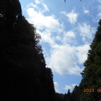 夢だけ見てる爺ライダー (@kamosikatov2) 's Twitter Profile