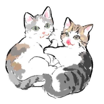 くろみつ・しらたま🐈保護猫兄妹 (@neko9682_4630) / X くろみつ・しらたま🐈保護猫兄妹 (@neko9682_4630) / X