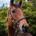 SpratstownStud (@spratstownstud) Twitter profile photo SpratstownStud (@spratstownstud) Twitter profile photo