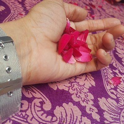 pubgu730's profile picture. Pubg